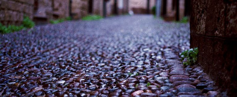 Noi delle strade