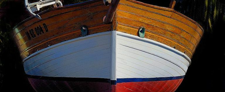 La gioia di credere